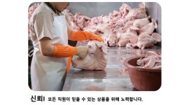 (주)태영종합식품유통 | (주)태영종합식품유통 : 도축장(돈부산물) 배송기사 모집합니다(2.... 전체 / (주)태영종합식품유통 / 도축장(돈부산물) 배송기사...