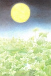 구름꽃 | 문명예 | 알라딘 구름꽃 | 문명예