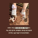 현대김포더캐시미어임희선 | 차라리 사막을 달리는 건 어때? | 임희선 | 알라딘 차라리 사막을 달리는 건 어때? | 임희선
