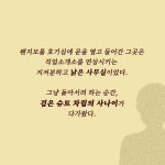 고양이 소개소 | 임두건 | 알라딘 고양이 소개소 | 임두건