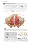 근골격계 질환의 통증 해부 ATLAS | Shintaro Kudo | 알라딘 근골격계 질환의 통증 해부 ATLAS | Shintaro Kudo