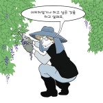 떼루아의 맛 | 신이현 | 알라딘 떼루아의 맛 | 신이현