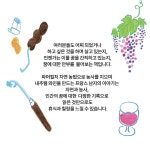 떼루아의 맛 | 신이현 | 알라딘 떼루아의 맛 | 신이현