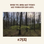 나무를 읽는 법 | 트리스탄 굴리 | 알라딘 나무를 읽는 법 | 트리스탄 굴리