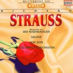 Strauss: Also Sprach Zarathustra, Op. 30, TrV 176/Netherlands Philharmonic Orchestra - 벅스 Strauss: Also Sprach Zarathustra...