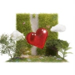 The Love of All Beings - 벅스 The Love of All Beings / 이룸(eroom)