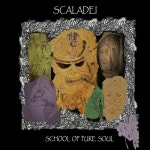 주식회사스쿨디(Skool-D) | School of Pure Soul - 벅스 School of Pure Soul / Scaladei