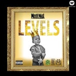 Levels - 벅스 Levels / Meek Mill(미크 밀)