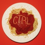 씨티알엘미디어 | CTRL/La Monarque - 벅스 CTRL / La Monarque