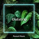 Outstrip - 벅스 Outstrip / Forest Music