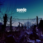 Wastelands/Suede(스웨이드) - 벅스 Wastelands / Suede(스웨이드)