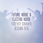 Party Season (Mainstage Mix)/DJ Sakin & Stereoliner - 벅스 Party Season (Mainstage Mix) / DJ Sakin & Stereoliner