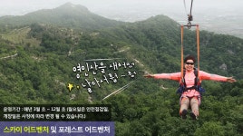 영인산자연휴양림의 울창한 숲과 맑고 깨끗한 자연에서 휴식 - |
