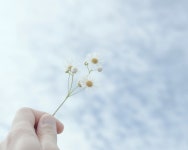 해음새 | 판매중인 작품 해음새