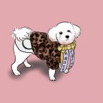 반려동물 초상화 | 아이디어스 반려동물 초상화