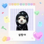두부네사진관 | 작가 피드