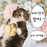Flavors Patisserie(플레이버즈 파티세리) | 파티세리 묘Patisserie myo | 작가 피드
