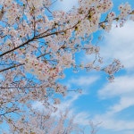beens메이드 빈스메이드 | 구매후기 beens메이드 빈스메이드