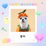 두부네사진관 | 작가 피드