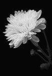 늘여기바이미(채움뷰티) | 늘:다움(Daily:Beauty) 작가 피드 | 아이디어스
