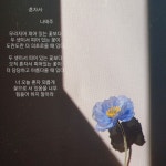 브릴란테(Brillante) | 작가 피드 브릴란테(Brillante)
