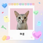 두부네사진관 | 작가 피드