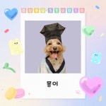 두부네사진관 | 작가 피드