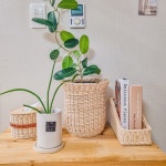 콘티고베이글(CONTIGO BAGEL) | Rattan Contigo 라탄콘티고 | 작가 피드 Rattan Contigo 라탄콘티고