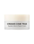 디마프 크림스컴트루 장벽 크림 15ml - 사은품(GIFT) | 무신사