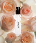엘엘피에이치(LLPH) 오티움 EDP 15ml - 후기 | 무신사