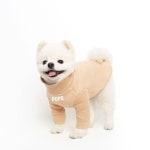 웁시데이지(OOPSIE DAISY) 네임 터틀넥 티 카라멜 - 37,000원 | 무신사 스토어 - 셀렉트숍