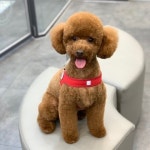 구솔찬님의 마이홈에 놀러오세요