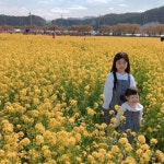 (주)아워홈 이대서울병원강서점 | 이대대대님의 마이홈에 놀러오세요
