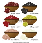 Bean Types Set Adzuki Black Kidney 스톡 벡터(로열티 프리) 1566005308 | Shutterstock
