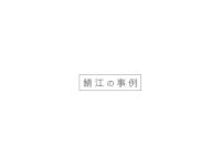 20130526 event fes2013