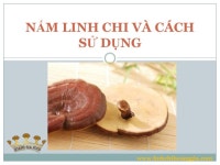Cách dùng nấm linh chi slideshare