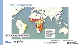 오넨(O NEN) | Estudi i Maneig del Nen Nouvingut i_o VFR 2025 | PDF Estudi i Maneig del Nen Nouvingut i_o VFR 2025