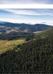 Programa Nacional de Reforestación y Cosecha de Agua slideshare