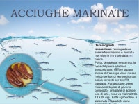 Il mare in barattolo slideshare