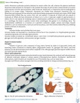 Microbial world | PDF Microbial world