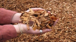 Pulp and Paper Manufacturing and Treatment Of Waste Water slideshare