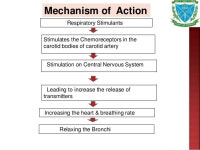 Respiraratory system pharmacology
