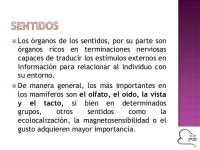 Sistema nervioso en mamíferos slideshare