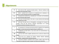청진TEMA&BIO | Tema 1 bio1 la composició dels éssers vius power point slideshare