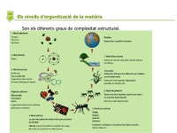 청진TEMA&BIO | Tema 1 bio1 la composició dels éssers vius power point slideshare