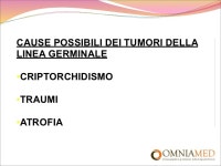 IL TUMORE DEL TESTICOLO slideshare