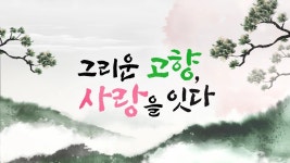 특별기획 그리운 고향 사랑을 잇다 1화 | TVING