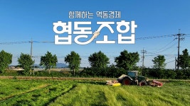 특별기획 함께하는 역동경제, 협동조합 1화 | TVING