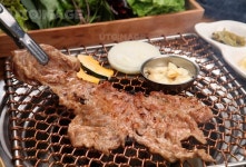 프리진 - 스톡 이미지, 사진, 일러스트, 벡터, 웹디자인. 이미지 사이트