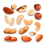 Nuts Delicious Natural Bio Nutrition Set Vector. Peanut And Brazil Nuts, Cashew And Hazelnut Fresh Food In Shell And Cut Pieces. Fresh...